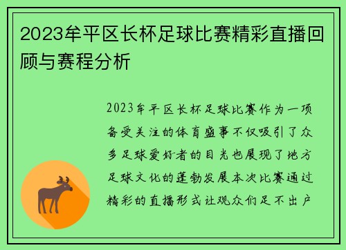 2023牟平区长杯足球比赛精彩直播回顾与赛程分析